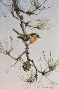PENNY Edwin 1930-2016,Robin perching upon a fir tree bough,Clevedon Salerooms GB 2024-03-14