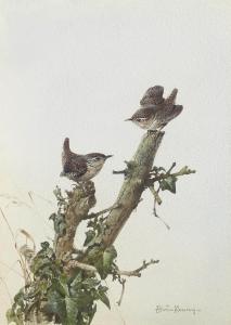 PENNY Edwin 1930-2016,Two wrens perched on a tree stump,Christie's GB 2011-04-12