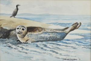 PEPPER Hubert 1900-1900,study of a seal with a cormorant on a rock,1970,Ewbank Auctions 2018-06-20
