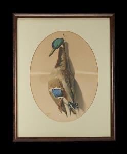 PERELLI Achille 1822-1891,Nature Morte - Mallard,New Orleans Auction US 2015-07-25