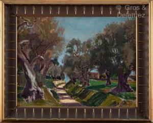 PERETTO Jacques 1879-1937,Les oliviers à Saint-Paul de Provence,Gros-Delettrez FR 2023-10-02