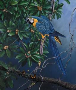 PERKINS David J 1936,Blue and Yellow Macaw,1998,Christie's GB 2000-11-16