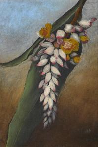 PERKINS TAYLOR Marry Smyth 1875-1931,Shell Ginger, Hawaii,1884,Bonhams GB 2016-11-21