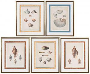PERRY George 1810,Conchology, or the Natural History of Shells,Brunk Auctions US 2022-02-04
