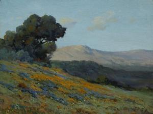 PERRY John Calvin 1848-1936,California poppies and lupine on a hillside,Bonhams GB 2011-04-05