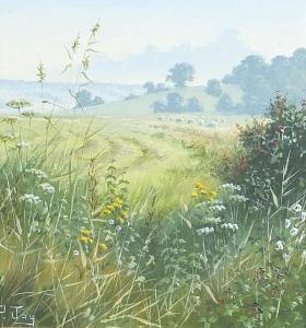 PETER Jay 1936,The Marsh near Winchelsea,Eastbourne GB 2021-08-03