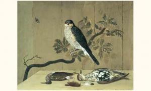 PETERS Nicolai 1766-1825,le faucon et sa chasse,Tajan FR 2004-03-17