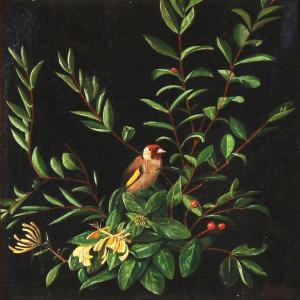 PETERSEN Angelo,Robin and ladybird on a branch of blooming honeysu,1880,Bruun Rasmussen 2011-10-10