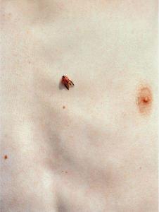 PETERSEN REGINE,Ladybug from The Hair,2006,Phillips, De Pury & Luxembourg US 2009-09-26