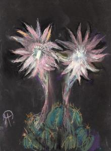 Petrascu Milita 1892-1976,Cactus Flowers,Artmark RO 2022-07-13