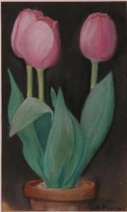 PHILLIPS Roger 1930,tulips,Jack Eubanks US 2008-07-26