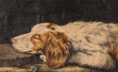 PHILLP J 1773,Sleeping Welsh Springer Spaniel,1795,Dreweatts GB 2015-01-06