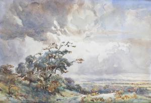 PHOENIX George 1863-1950,Landscape scenes,Fellows & Sons GB 2016-08-08
