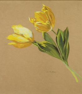 PICKUP Nancy,Still life - Spring of yellow tulips,Capes Dunn GB 2016-05-17