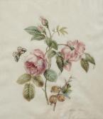 Pierre Antoine Poiteau 1766-1854,Bouquet de fleurs,Millon & Associés FR 2012-12-17