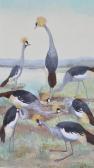 PIETERSEN JACQUELINE 1899-1984,Crowned Cranes,Burstow and Hewett GB 2012-05-02