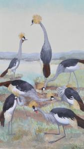 PIETERSEN JACQUELINE 1899-1984,Crowned Cranes,Burstow and Hewett GB 2012-05-02