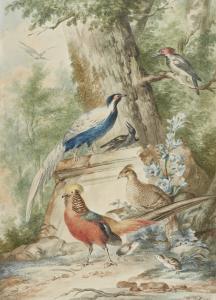 PIJL P,WILDFOWL AND OTHER BIRDS IN IMAGINARY LANDSCAPES,Sotheby's GB 2016-10-26