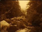 PILLSBURY ARTHUR C 1870-1946,Scenes of a Stream Through the Wood,Clars Auction Gallery US 2014-03-15