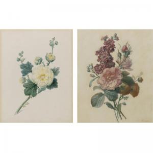 PIQUET DE BRIENNE Auguste,BOTANICAL STUDIES: A PAIR OF WATERCOLORS,1823,Sotheby's 2007-01-27