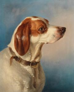 PISCHINGER Carl 1823-1886,A Foxhound,Palais Dorotheum AT 2021-05-06