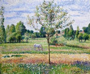 PISSARRO Camille 1830-1903,The meadow with the grey horse, Eragny,1893,Matsa IL 2010-06-30
