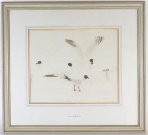 PITCHFORTH Roland Vivian 1895-1982,Seabirds,Halls GB 2018-01-17