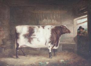 PITMAN John,Portrait of a Shorthorn Cow in a Cowshed,Simon Chorley Art & Antiques 2016-07-19