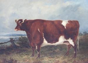 PITMAN John 1820-1846,Portrait of a Shorthorn Ox Standing in a Fi,1837,Simon Chorley Art & Antiques 2016-07-19