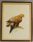 PLANT David,Golden Eagle at Watch,1975,Skinner US 2012-07-18
