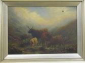 platt g.h,Sheep and Highland Cattle in Scottish landscapes,Peter Francis GB 2009-11-17