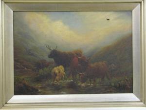 platt g.h,Sheep and Highland Cattle in Scottish landscapes,Peter Francis GB 2009-11-17