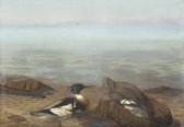 PLOUG Jørgen 1876-1938,Beach scenery with two merganser,1923,Bruun Rasmussen DK 2018-11-26
