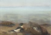 PLOUG Jørgen 1876-1938,Beach scenery with two merganser,1923,Bruun Rasmussen DK 2021-03-29
