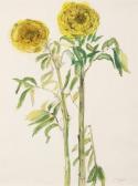 POLLET Jean 1929,Fleurs jaunes,Cornette de Saint Cyr FR 2020-06-30