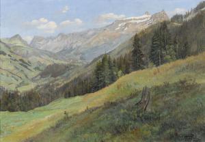 PONCI A,"Les Diablerets".,Dobiaschofsky CH 2009-05-13