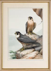 POOLE Earle Lincoln 1891-1972,two raptors perched on a rocky outcrop,Pook & Pook US 2019-10-05