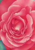 POPPERWELL ANNE,Pink Rose,1993,Westbridge CA 2014-03-23