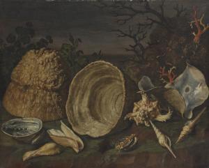 PORPORA Paolo 1617-1673,Nature morte aux muricidae,Christie's GB 2023-11-17