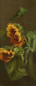 PORTER Charles Ethan 1847-1923,Sunflowers,1880,Swann Galleries US 2018-04-05