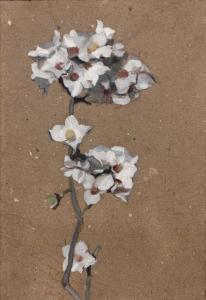 POUGHEON Eugene Robert,Branche de fleurs blanches,Artcurial | Briest - Poulain - F. Tajan 2012-03-28