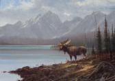 POULSEN Michael C 1953,Wyoming Majesty,Jackson Hole US 2012-09-15