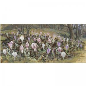 POWELL Alfred 1870-1901,CROCUSES ON A WOODLAND FLOOR; STILL LIFE OF FLOWERS,Sotheby's GB 2008-10-28