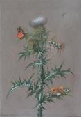 POWELL Anna Maria,A thistle with butterflies,1810,Woolley & Wallis GB 2010-09-08