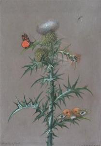 POWELL Anna Maria,A thistle with butterflies,1810,Woolley & Wallis GB 2010-12-08