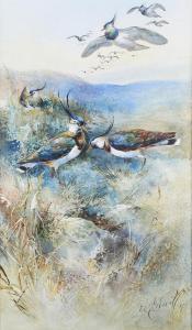 POWELL William E 1878-1955,Lapwings in a Landscape,Tooveys Auction GB 2023-09-06