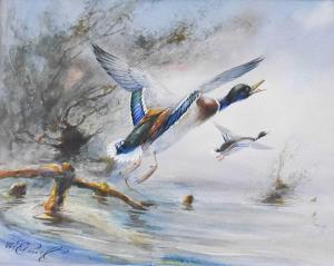 POWELL William E 1878-1955,Mallards in flight above a pond,Tennant's GB 2023-01-27