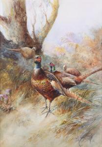 POWELL William E 1878-1955,Pheasants in a Landscape,Tooveys Auction GB 2023-09-06