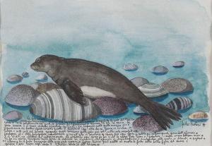 PRATESI FULCO 1934,La foca monaca,Babuino IT 2022-11-25