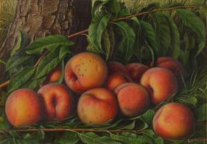 PRENTICE Levi Wells 1851-1935,Peaches,Sotheby's GB 2024-01-19